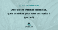 créer un site internet écologique, quels bénéfices pour votre entreprise  (partie 1)