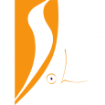 Logo de fleur de soleil