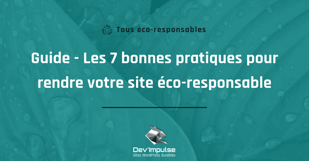 Les 7 Bonnes Pratiques Pour Rendre Votre Site éco-responsable - Dev'Impulse